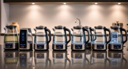 top electric kettles with variable temperature