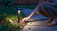 15 Best Solar-Powered Outdoor Pathway Lights for 2027